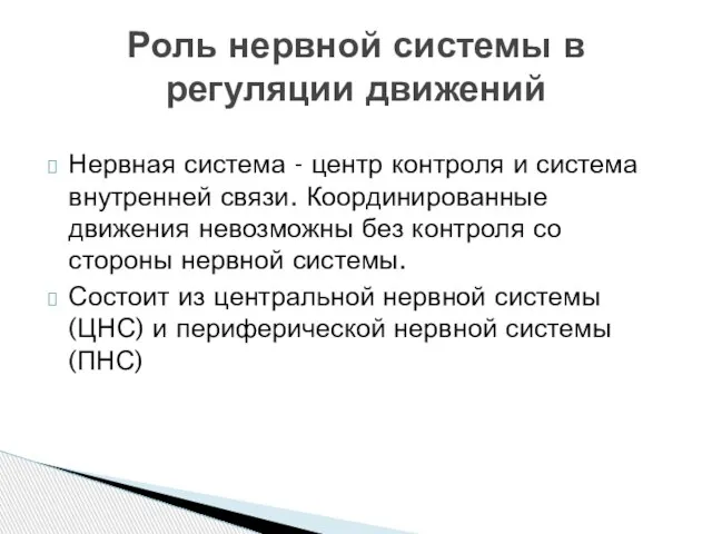 Нервная система - центр контроля и система внутренней связи. Координированные движения невозможны