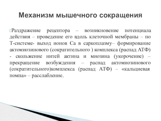 Раздражение рецептора – возникновение потенциала действия – проведение его вдоль клеточной мембраны