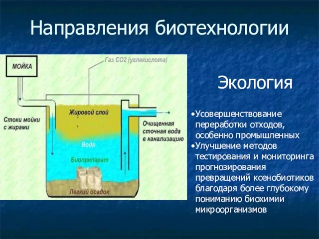 Направления биотехнологии Экология Усовершенствование переработки отходов, особенно промышленных Улучшение методов тестирования и