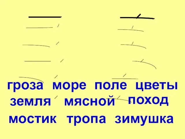 гроза море цветы поле земля мясной поход мостик тропа зимушка