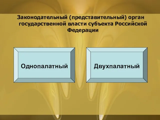 Законодательный (представительный) орган государственной власти субъекта Российской Федерации Однопалатный Двухпалатный