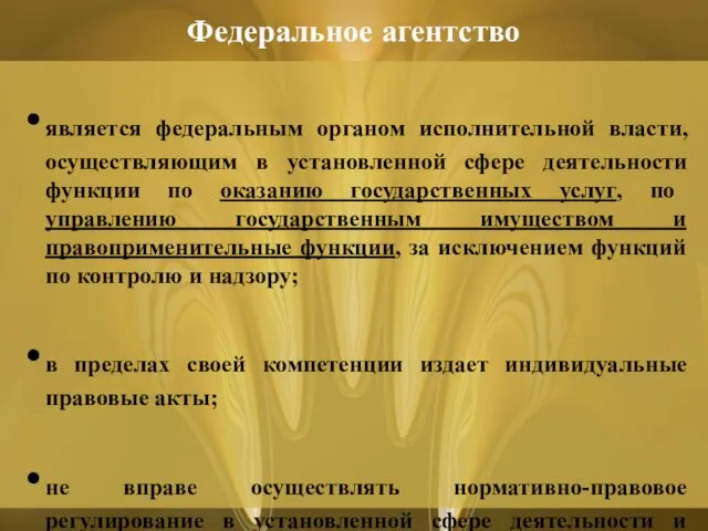 является федеральным органом исполнительной власти, осуществляющим в установленной сфере деятельности функции по