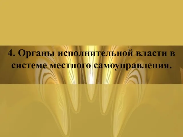 4. Органы исполнительной власти в системе местного самоуправления.