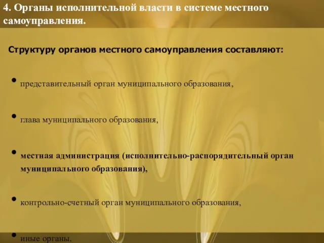 4. Органы исполнительной власти в системе местного самоуправления. Структуру органов местного самоуправления