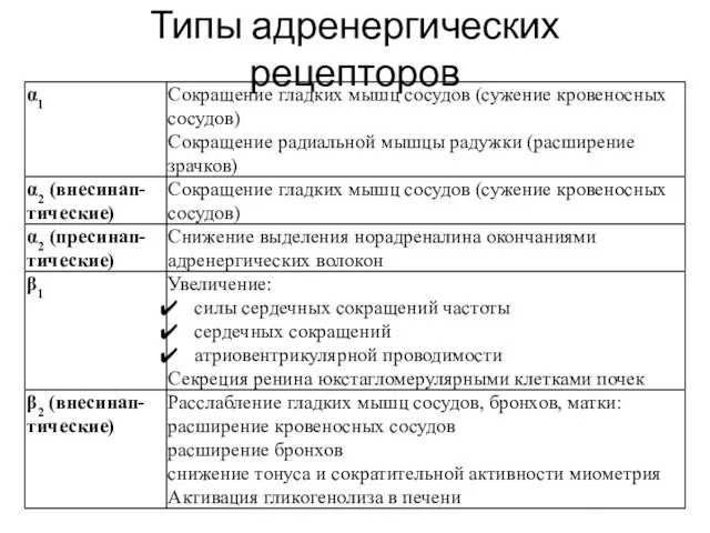 Типы адренергических рецепторов