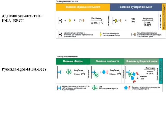 Аденовирус-антиген–ИФА–БЕСТ Рубелла-IgM-ИФА-Бест