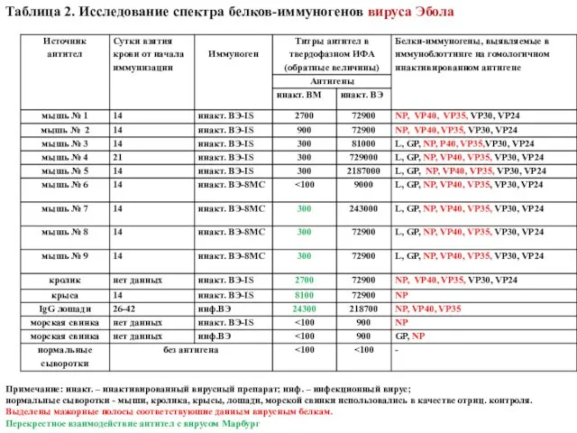 Таблица 2. Исследование спектра белков-иммуногенов вируса Эбола Примечание: инакт. – инактивированный вирусный