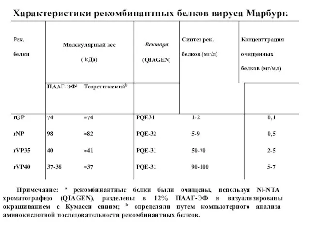 Характеристики рекомбинантных белков вируса Марбург. Примечание: a рекомбинантные белки были очищены, используя