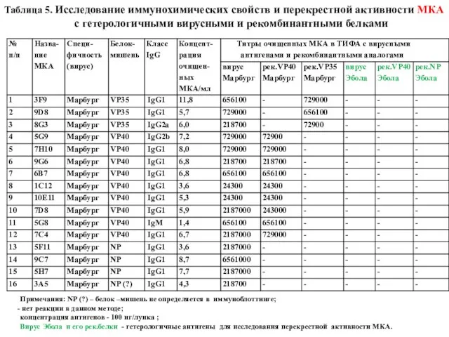 Таблица 5. Исследование иммунохимических свойств и перекрестной активности МКА с гетерологичными вирусными