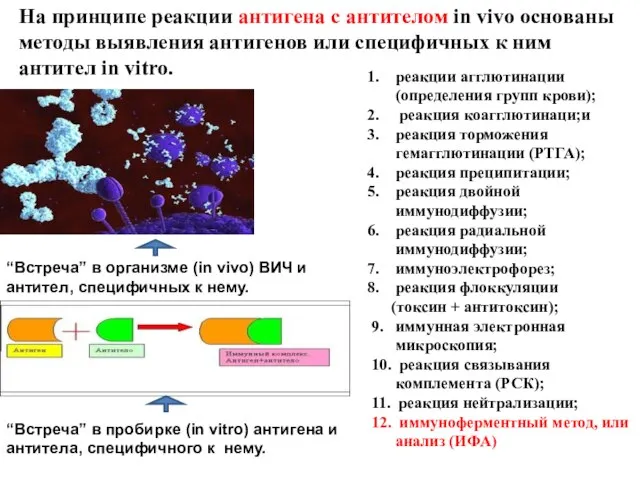 реакции агглютинации (определения групп крови); реакция коагглютинаци;и реакция торможения гемагглютинации (РТГА); реакция