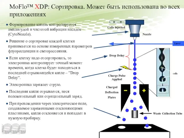 MoFlo™ XDP: Сортировка. Может быть использована во всех приложениях Nozzle Charged Deflection