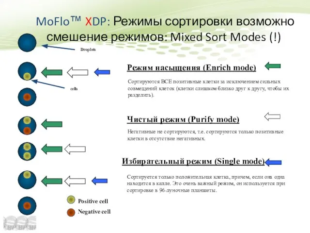 Режим насыщения (Enrich mode) Сортируются ВСЕ позитивные клетки за исключением сильных совмещений