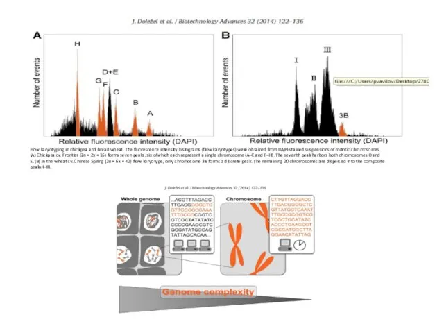 Flow karyotyping in chickpea and bread wheat. The fluorescence intensity histograms (flow