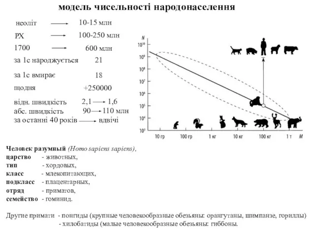 модель чисельності народонаселення 1700 600 млн за 1с народжується за 1с вмирає