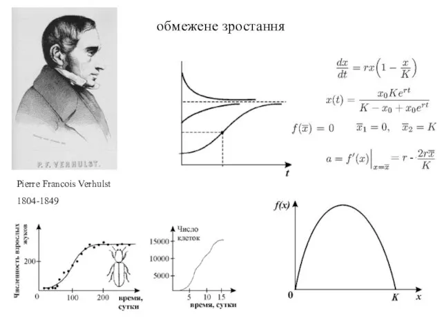 обмежене зростання Pierre Francois Verhulst 1804-1849