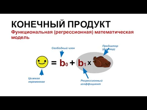 КОНЕЧНЫЙ ПРОДУКТ Функциональная (регрессионная) математическая модель Целевая переменная Предиктор (фактор) Свободный член Регрессионный коэффициент