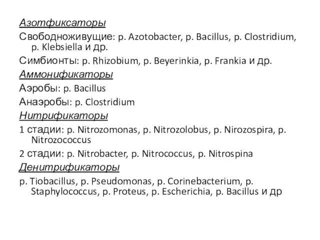 Азотфиксаторы Свободноживущие: p. Azotobacter, p. Bacillus, p. Clostridium, p. Klebsiella и др.