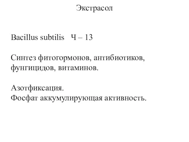 Экстрасол Bacillus subtilis Ч – 13 Синтез фитогормонов, антибиотиков, фунгицидов, витаминов. Азотфиксация. Фосфат аккумулирующая активность.