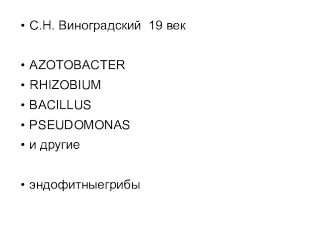 С.Н. Виноградский 19 век AZOTOBACTER RHIZOBIUM BACILLUS PSEUDOMONAS и другие эндофитныегрибы