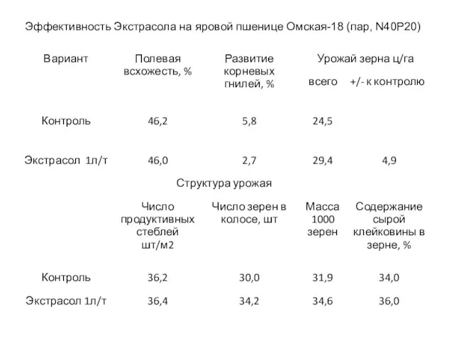 Эффективность Экстрасола на яровой пшенице Омская-18 (пар, N40P20) Эффективность Экстрасола на яровой пшенице Омская-18 (пар, N40P20)