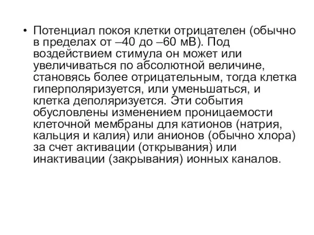 Потенциал покоя клетки отрицателен (обычно в пределах от –40 до –60 мВ).