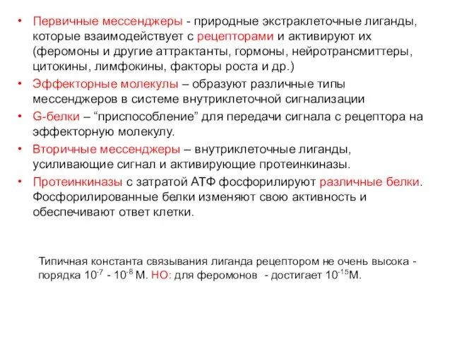 Первичные мессенджеры - природные экстраклеточные лиганды, которые взаимодействует с рецепторами и активируют