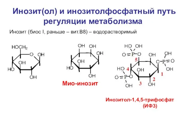 Инозит(ол) и инозитолфосфатный путь регуляции метаболизма Инозит (биос I, раньше – вит.В8)
