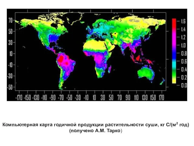 Компьютерная карта годичной продукции растительности суши, кг С/(м2 год) (получено А.М. Тарко)