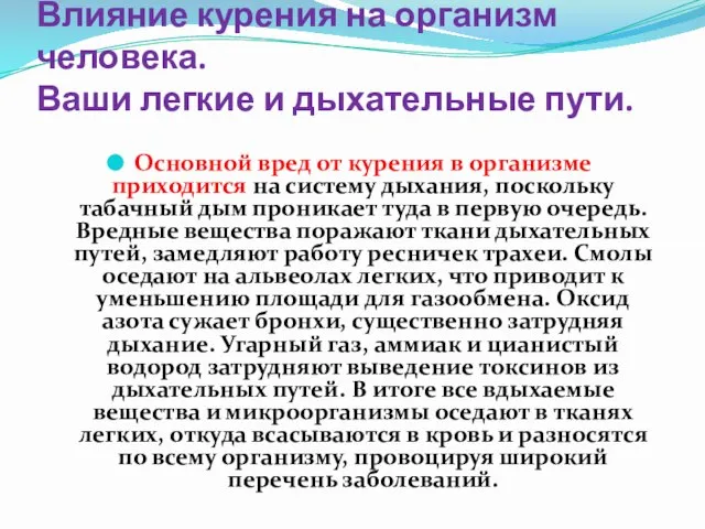 Влияние курения на организм человека. Ваши легкие и дыхательные пути. Основной вред