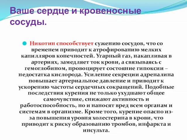 Ваше сердце и кровеносные сосуды. Никотин способствует сужению сосудов, что со временем