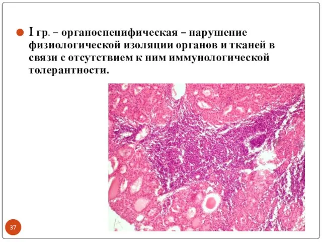 I гр. – органоспецифическая – нарушение физиологической изоляции органов и тканей в