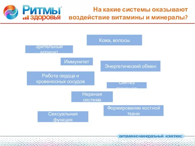 На какие системы оказывают воздействие витамины и минералы? Зрительный аппарат Синтез гормонов