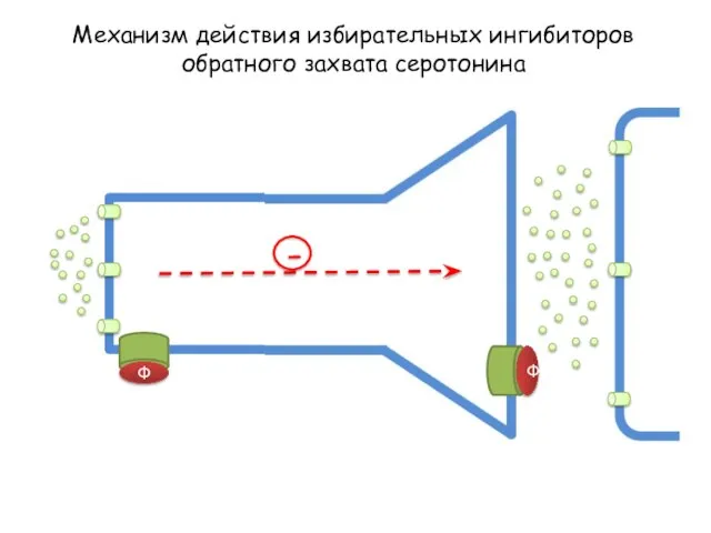 Механизм действия избирательных ингибиторов обратного захвата серотонина - Ф Ф