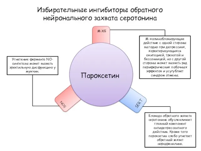 Избирательные ингибиторы обратного нейронального захвата серотонина Пароксетин SERT М-ХБ Блокада обратного захвата