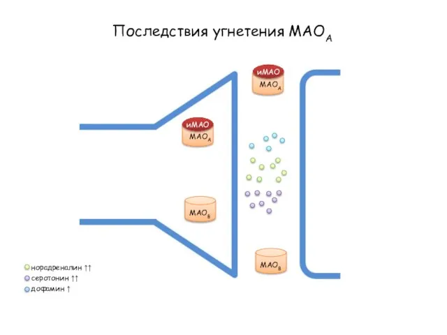 Последствия угнетения МАОА МАОА МАОВ МАОА МАОВ иМАО иМАО норадреналин ↑↑ серотонин ↑↑ дофамин ↑