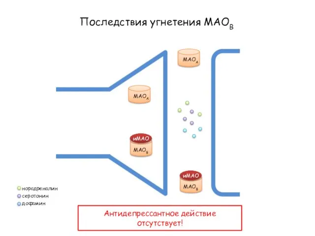 Последствия угнетения МАОВ МАОА МАОВ МАОА МАОВ иМАО норадреналин серотонин дофамин иМАО Антидепрессантное действие отсутствует!