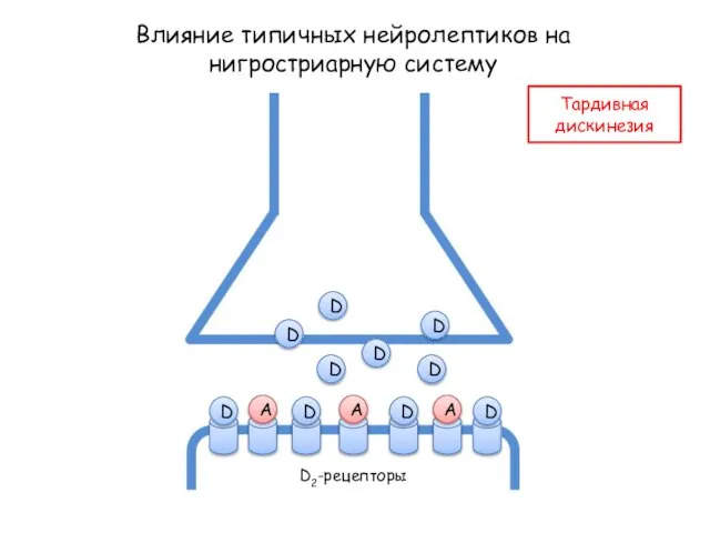 Влияние типичных нейролептиков на нигростриарную систему A A A D D D