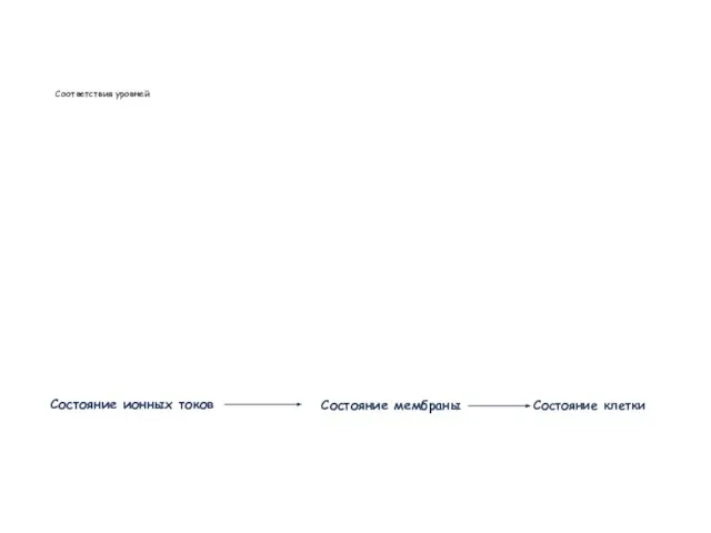 Соответствия уровней Состояние клетки Состояние мембраны Состояние ионных токов