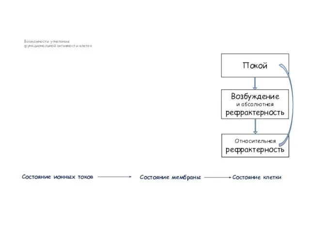 Возможности угнетения функциональной активности клеток Состояние клетки Состояние мембраны Состояние ионных токов