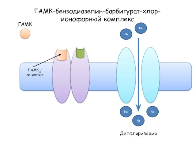 ГАМК-бензодиазепин-барбитурат-хлор-ионофорный комплекс Na Na Na Na Na Деполяризация ГАМК ГАМКА- рецептор