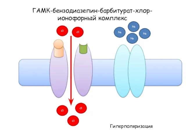 ГАМК-бензодиазепин-барбитурат-хлор-ионофорный комплекс Na Na Na Na Гиперполяризация Cl Cl Cl Cl Cl