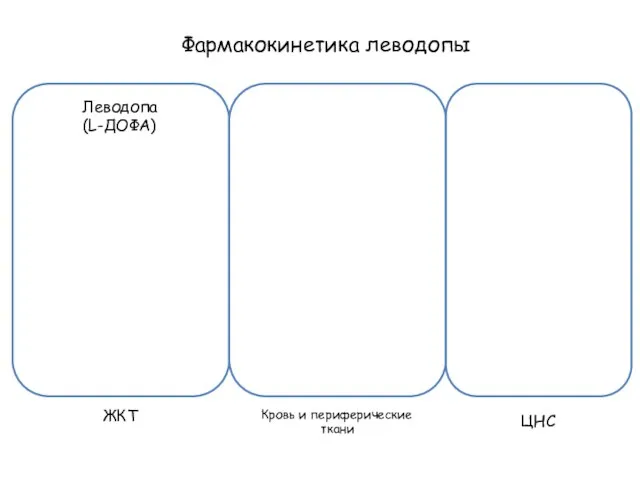 Фармакокинетика леводопы ЖКТ Кровь и периферические ткани ЦНС Леводопа (L-ДОФА)