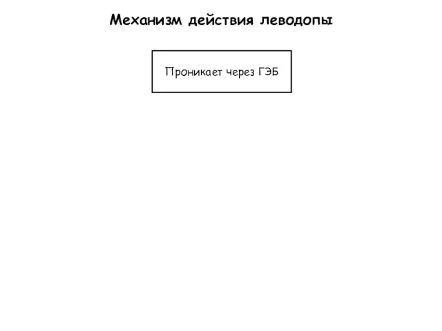 Механизм действия леводопы Проникает через ГЭБ