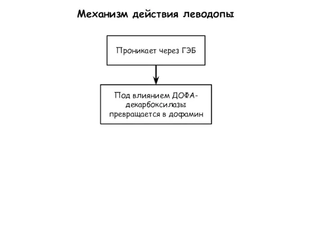 Механизм действия леводопы Проникает через ГЭБ Под влиянием ДОФА-декарбоксилазы превращается в дофамин