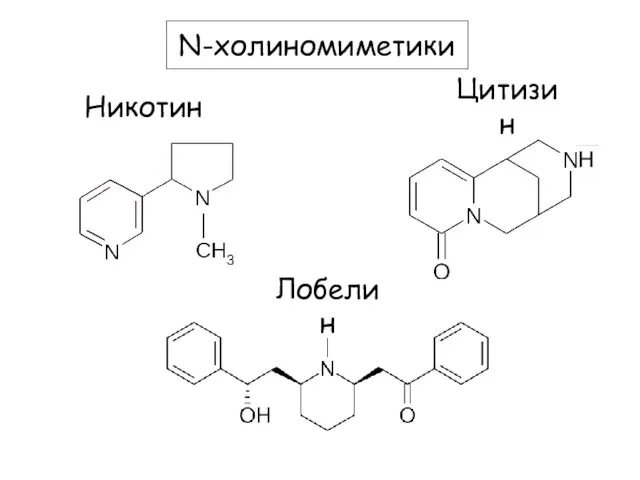 Цитизин Никотин Лобелин N-холиномиметики