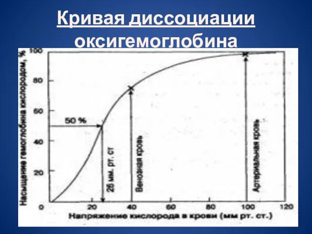 Кривая диссоциации оксигемоглобина