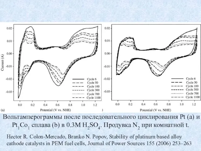 Hector R. Colon-Mercado, Branko N. Popov, Stability of platinum based alloy cathode