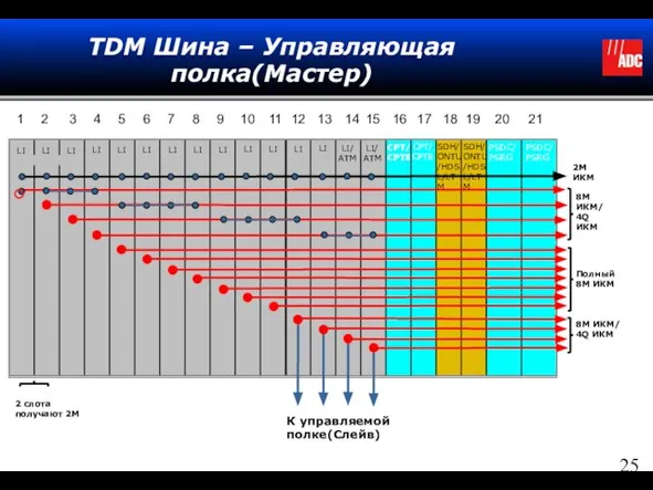 TDM Шина – Управляющая полка(Мастер) LI LI LI LI LI LI LI