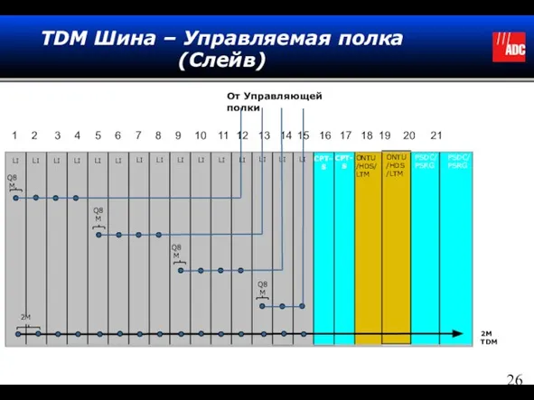 TDM Шина – Управляемая полка(Слейв) LI LI LI LI LI LI LI