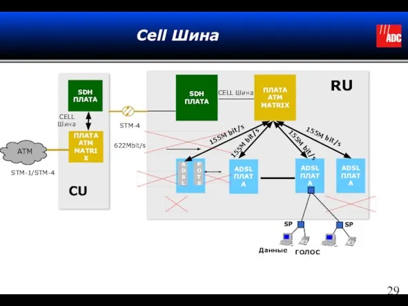 Cell Шина SDH ПЛАТА ПЛАТА ATM MATRIX SDH ПЛАТА ADSL ПЛАТА ADSL